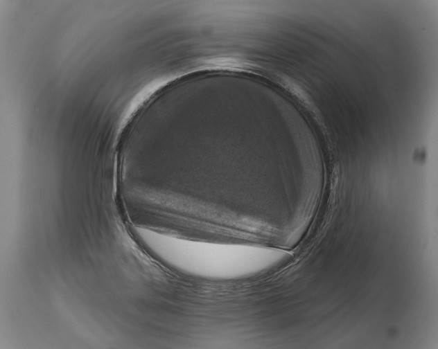 X0000114651323200911101312