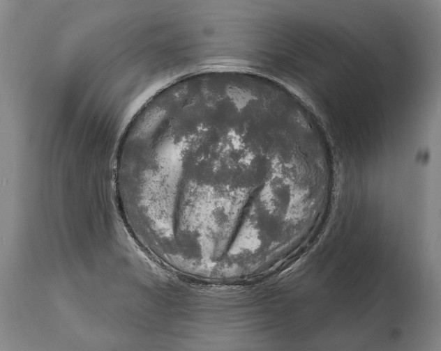 X0000114651325200911101312