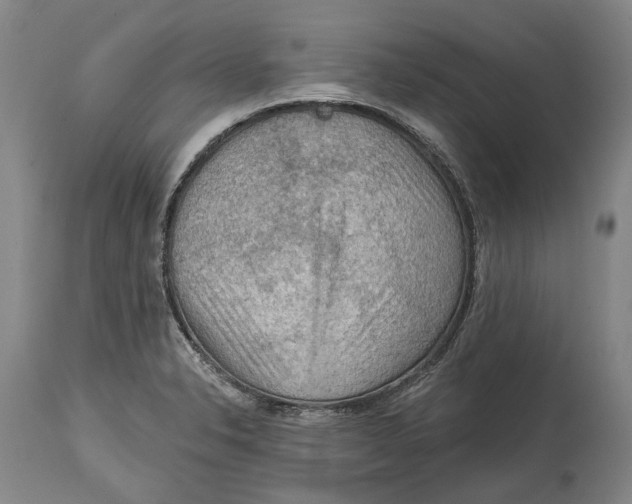 X0000114651326200911101312