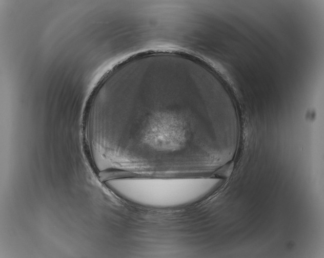 X0000114651327200911101312