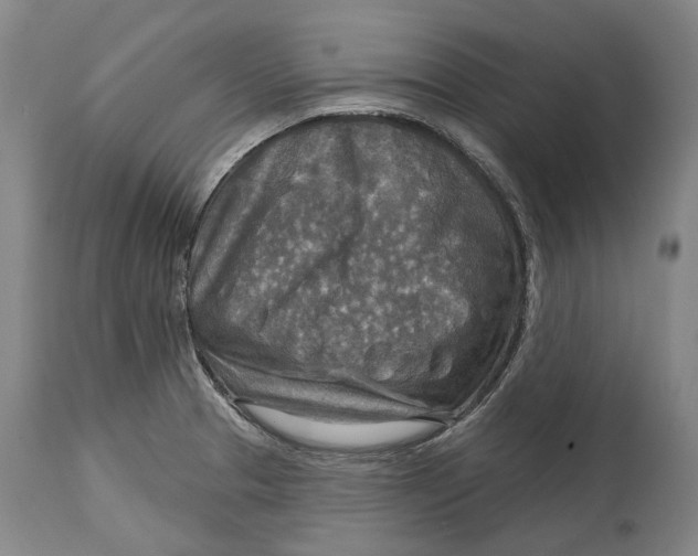 X0000114651329200911101312