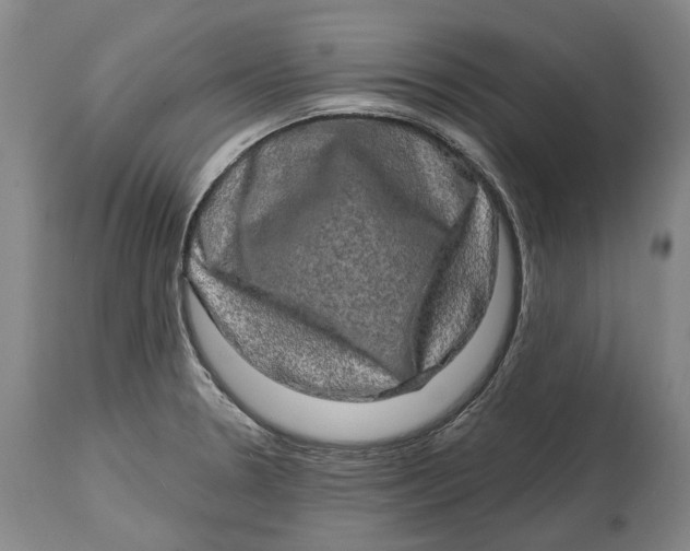 X0000114651330200911101312