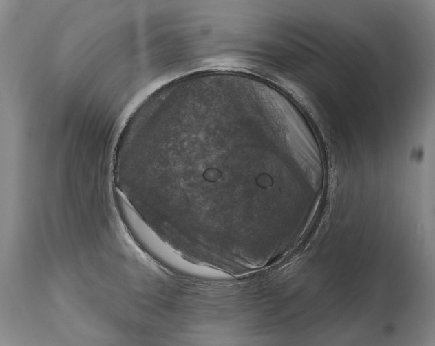 X0000114651331200911101312