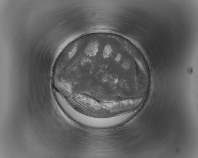 X0000114651333200911101312