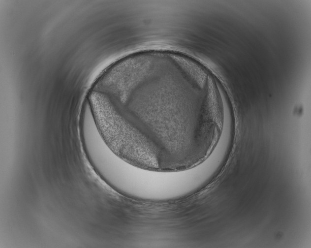 X0000114651334200911101312