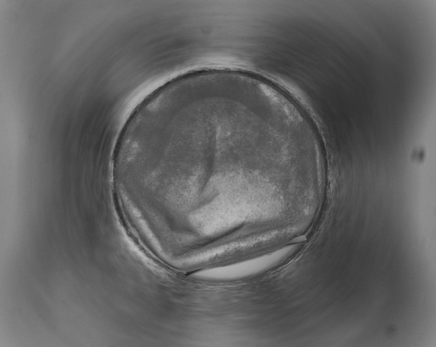 X0000114651335200911101312