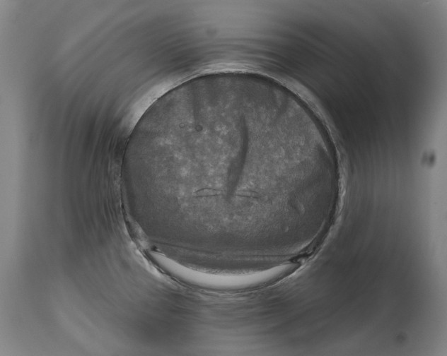 X0000114651337200911101312