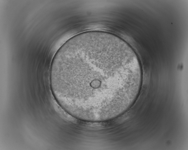 X0000114651338200911101312