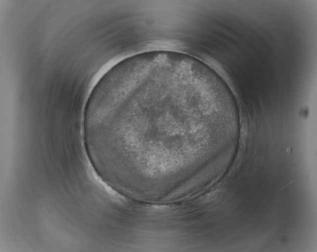 X0000114651339200911101312