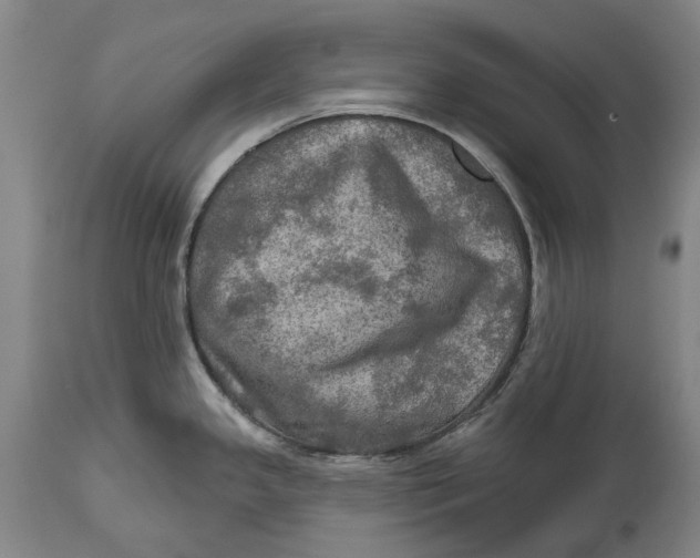 X0000114651341200911101312