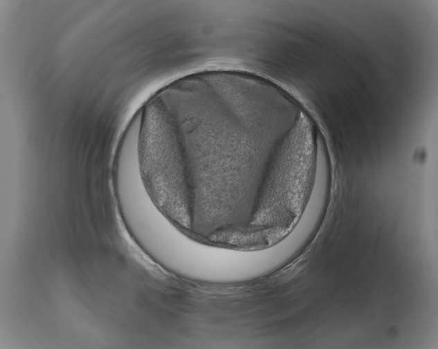 X0000114651342200911101312