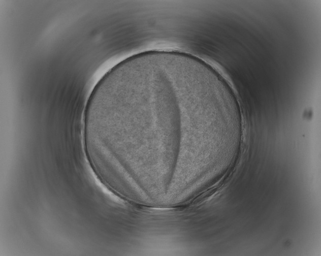 X0000114651343200911101312