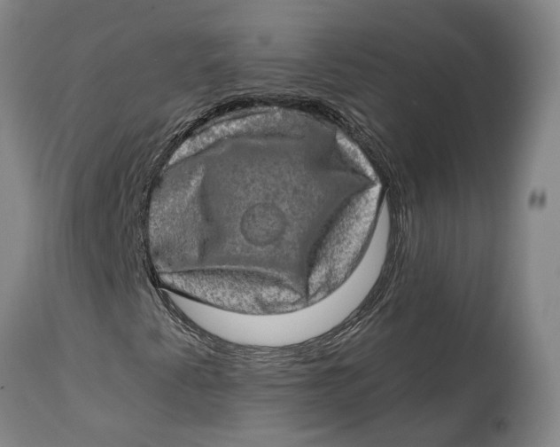 X0000114651345200911101312