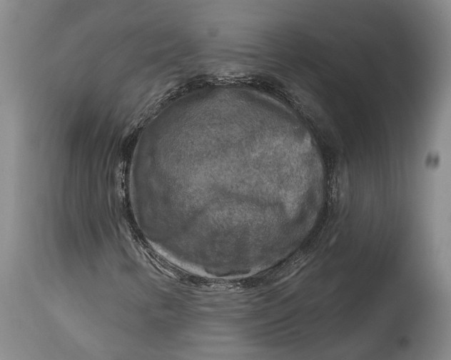 X0000114651346200911101312