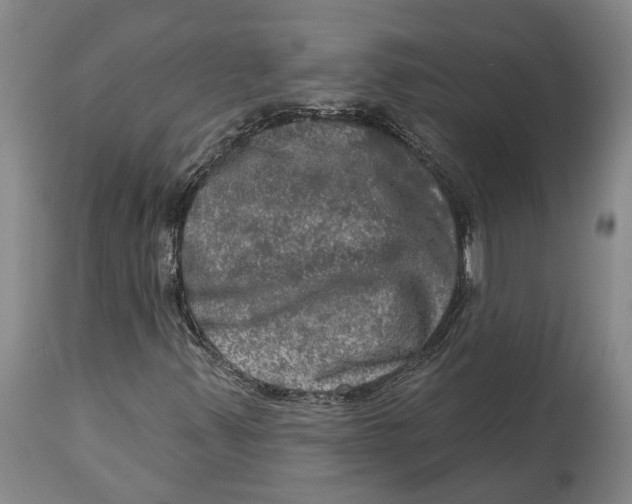 X0000114651347200911101312