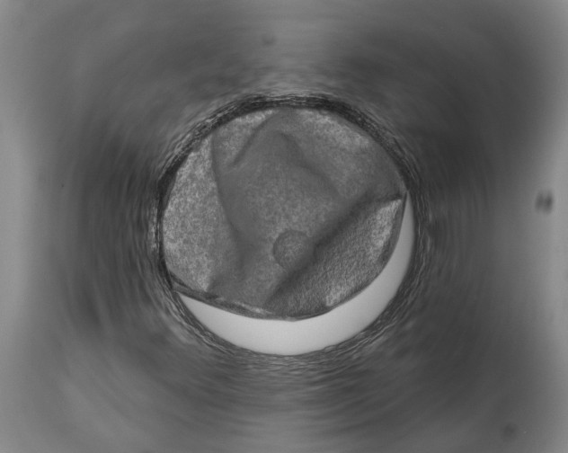 X0000114651348200911101312