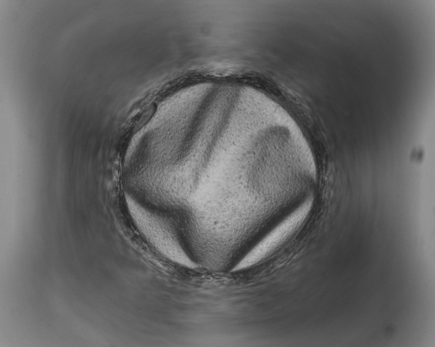 X0000114651349200911101312