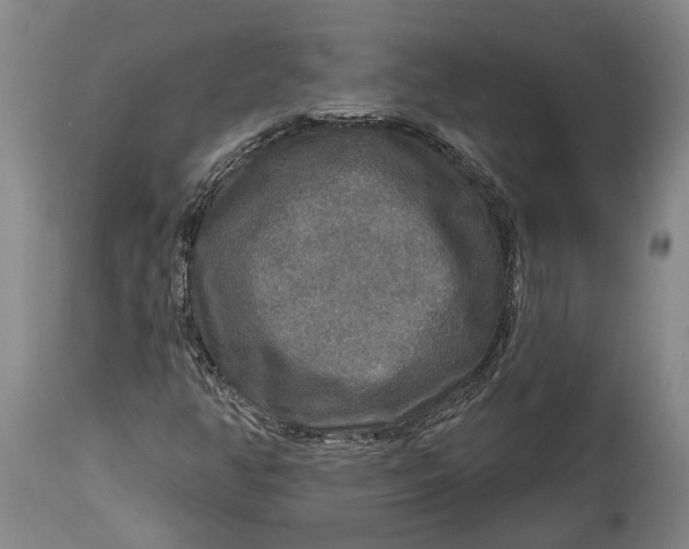 X0000114651350200911101311