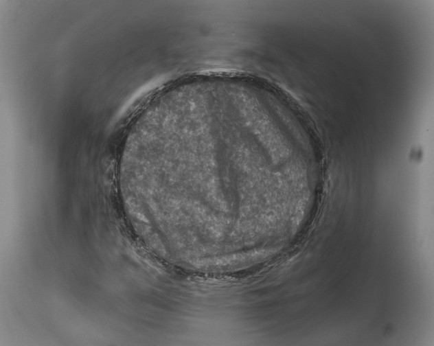 X0000114651351200911101311