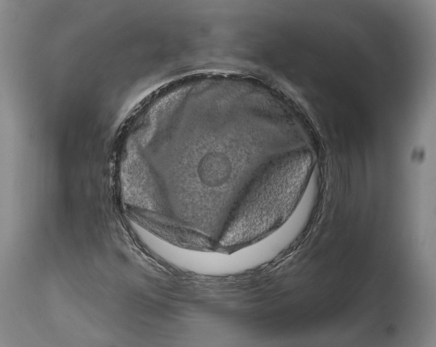 X0000114651352200911101311