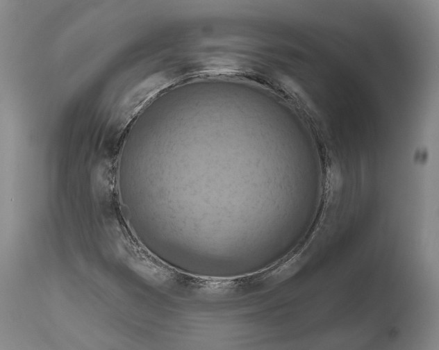 X0000114651353200911101311