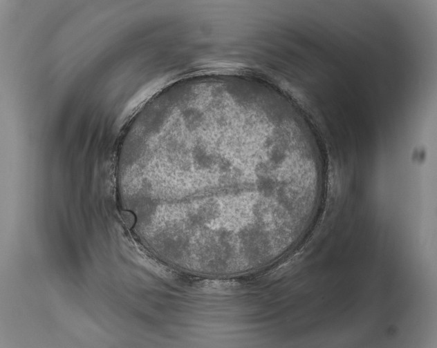 X0000114651354200911101311