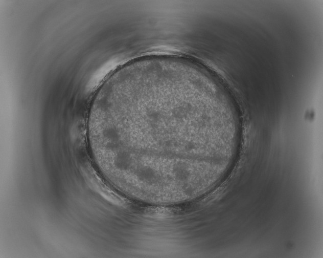 X0000114651355200911101311