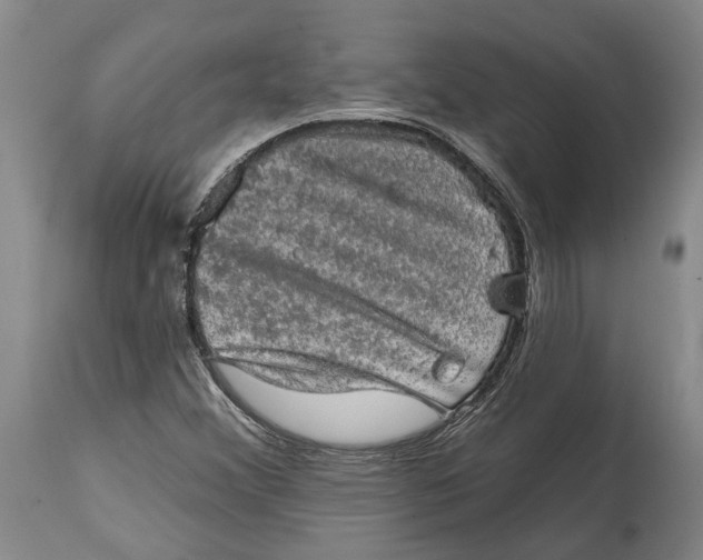 X0000114651356200911101311