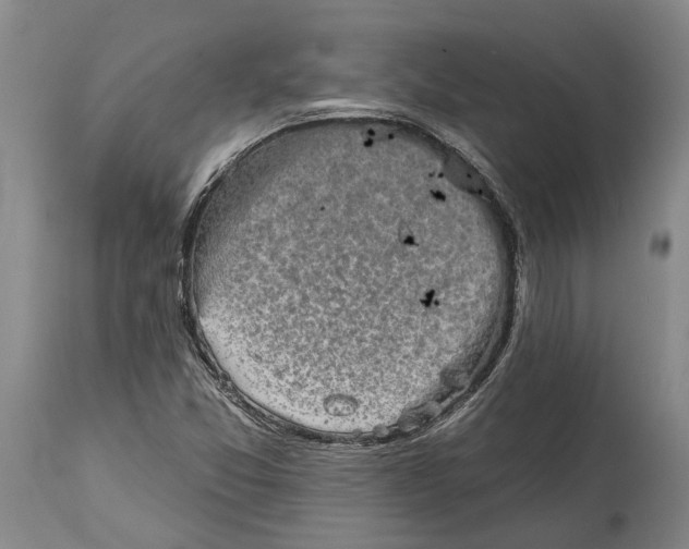 X0000114651357200911101311