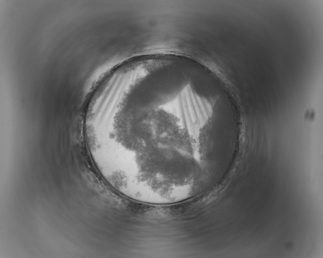 X0000114651358200911101311