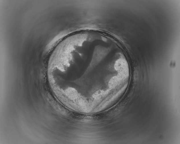 X0000114651359200911101311