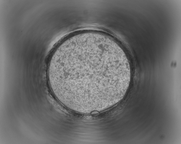 X0000114651360200911101311