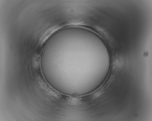 X0000114651361200911101311