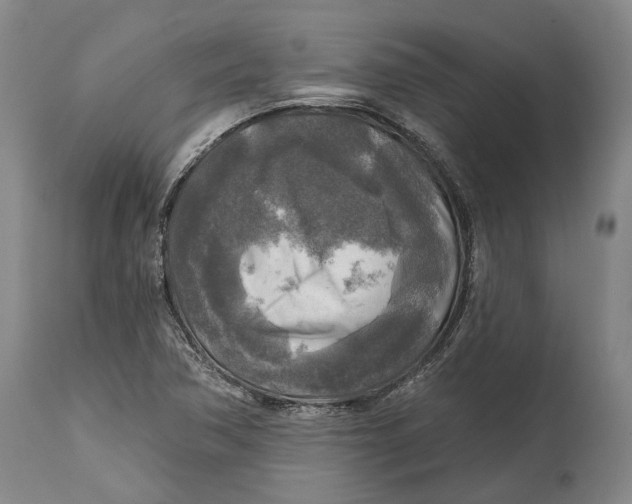 X0000114651362200911101311