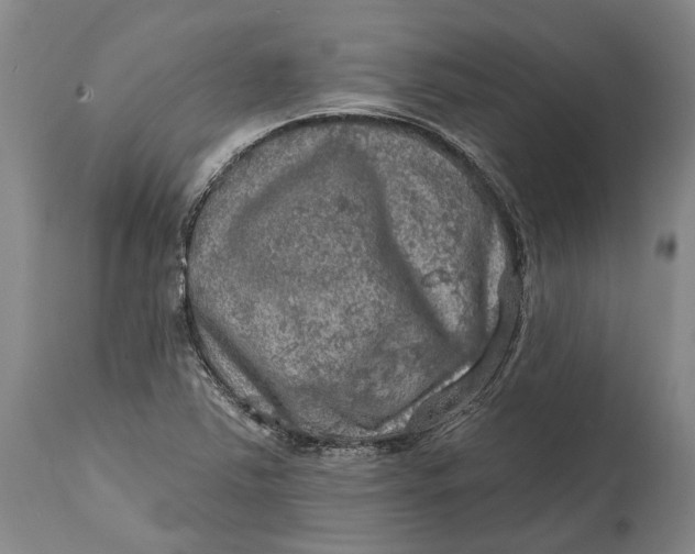 X0000114651363200911101311