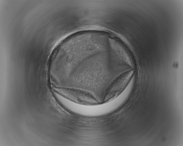 X0000114651364200911101311