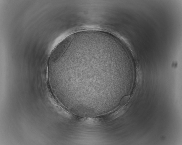 X0000114651365200911101311