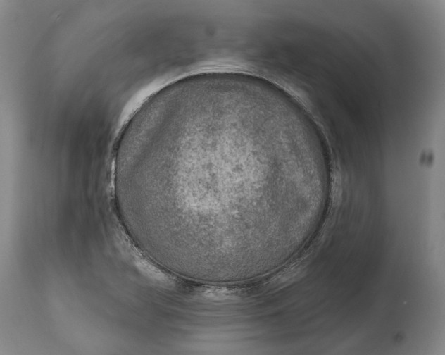 X0000114651366200911101311