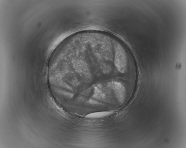 X0000114651367200911101311