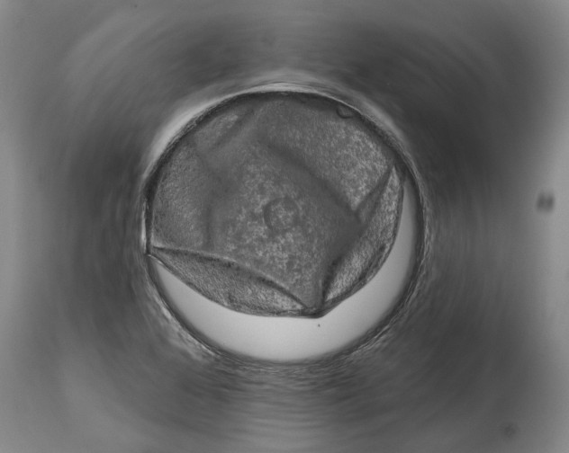 X0000114651368200911101311