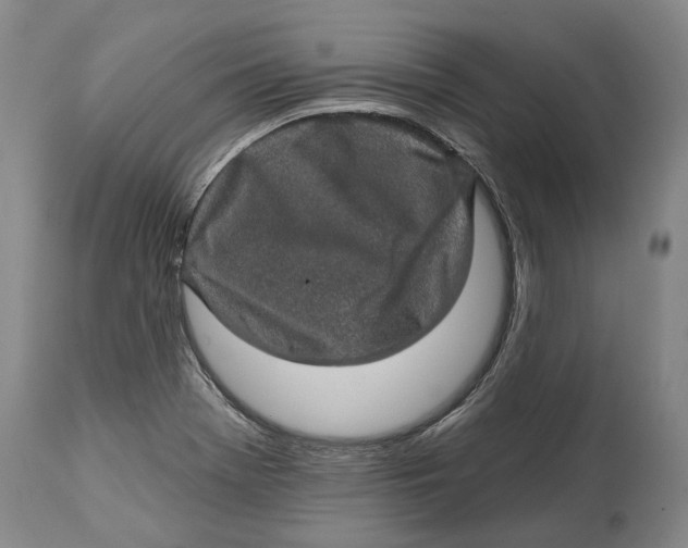 X0000114651369200911101311