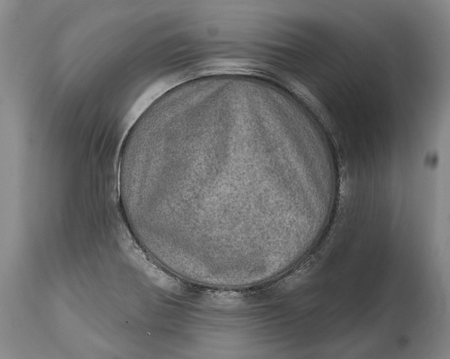 X0000114651370200911101311