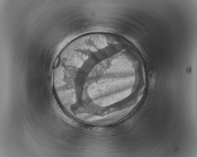 X0000114651371200911101311