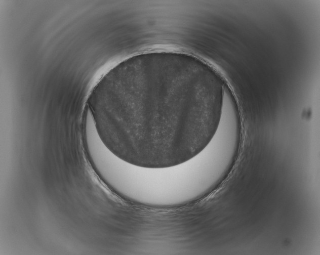 X0000114651373200911101311