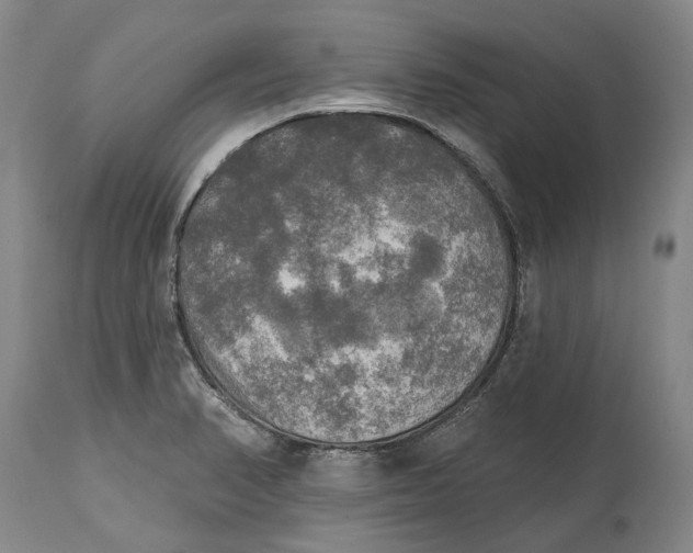 X0000114651374200911101311