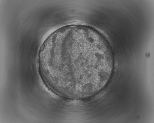 X0000114651375200911101311