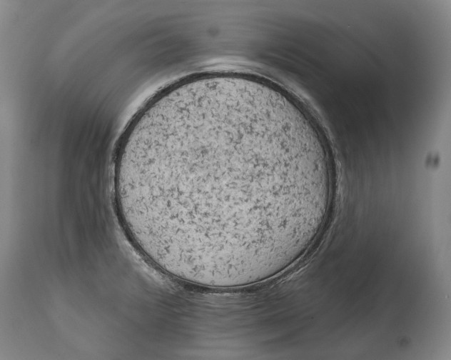 X0000114651376200911101311