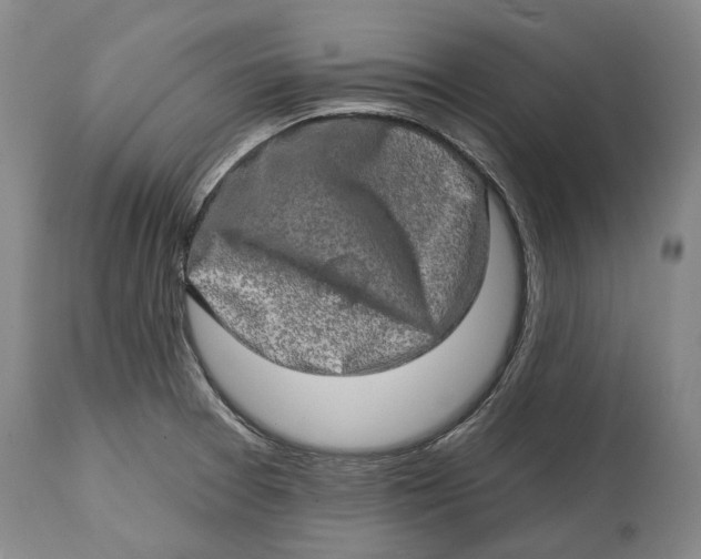 X0000114651377200911101311