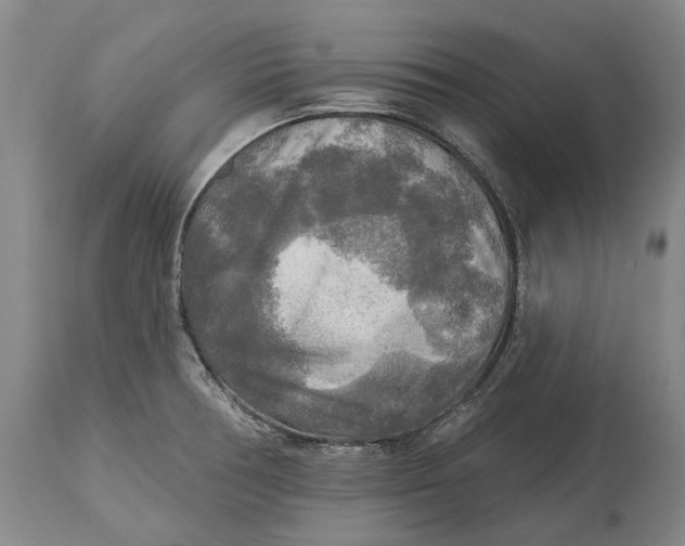 X0000114651378200911101311