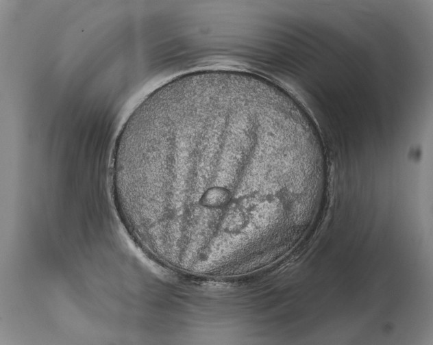 X0000114651379200911101311